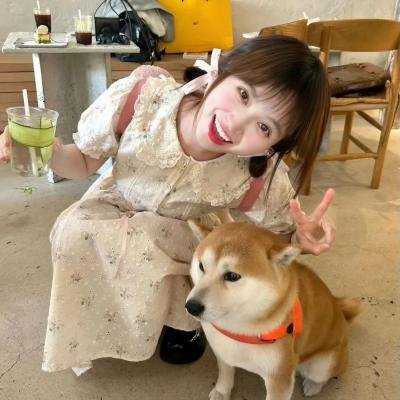 谁能带我回家